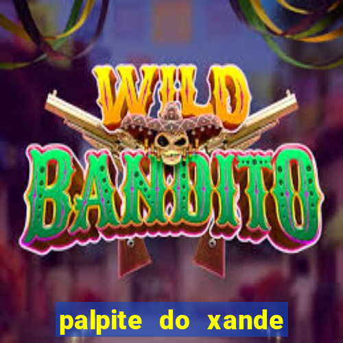 palpite do xande de hoje